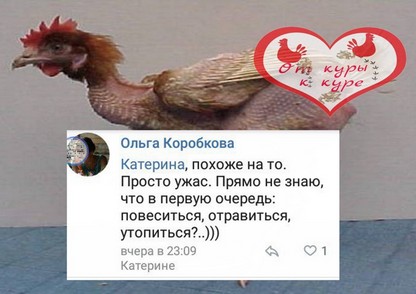 Елена Трусова Рыбинск, группа "От Мамы к Маме ", дискредитация медиков, клевета, доносы От Мамы к Маме. Рыбинск