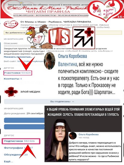 Елена Трусова Рыбинск, группа "От Мамы к Маме ", дискредитация медиков, клевета, доносы От Мамы к Маме. Рыбинск
