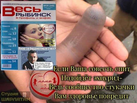 Елена Трусова Рыбинск, группа "От Мамы к Маме ", дискредитация медиков, клевета, доносы От Мамы к Маме. Рыбинск