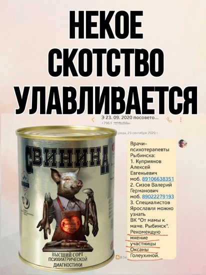 Елена Трусова Рыбинск, группа "От Мамы к Маме ", дискредитация медиков, клевета, доносы От Мамы к Маме. Рыбинск