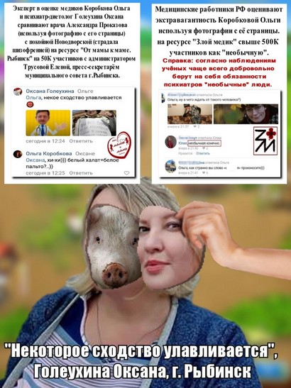 Елена Трусова Рыбинск, группа "От Мамы к Маме ", дискредитация медиков, клевета, доносы От Мамы к Маме. Рыбинск