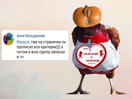 Елена Трусова Рыбинск, группа "От Мамы к Маме ", дискредитация медиков, клевета, доносы От Мамы к Маме. Рыбинск, токсичная личность