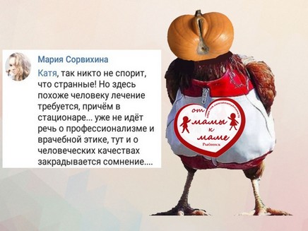 Елена Трусова Рыбинск, группа "От Мамы к Маме ", дискредитация медиков, клевета, доносы От Мамы к Маме. Рыбинск, токсичная личность