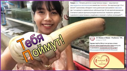 Елена Трусова Рыбинск, группа "От Мамы к Маме ", дискредитация медиков, клевета, доносы От Мамы к Маме. Рыбинск