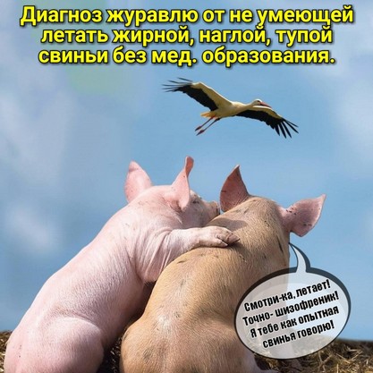 Елена Трусова Рыбинск, группа "От Мамы к Маме ", дискредитация медиков, клевета, доносы Оксана Голеухина, Рыбинск